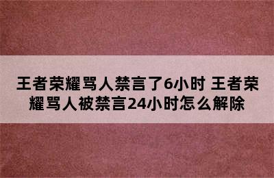 王者荣耀骂人禁言了6小时 王者荣耀骂人被禁言24小时怎么解除